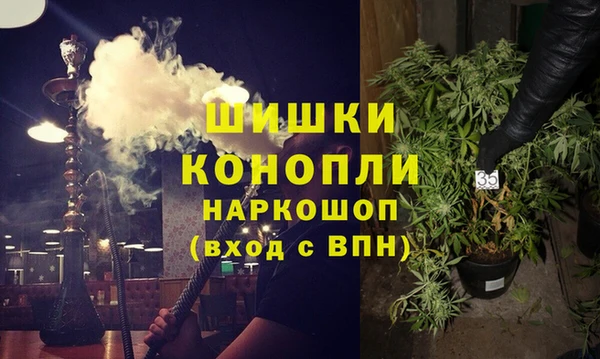 шишки Баксан