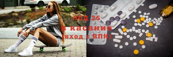 шишки Баксан