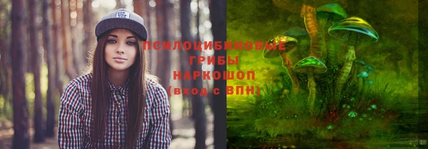 шишки Баксан